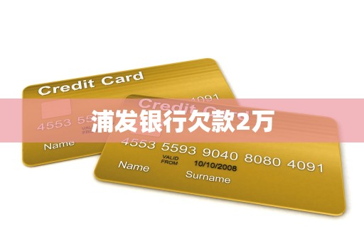 浦发银行欠款2万