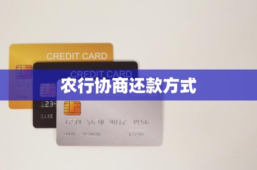 农业银行不同意个性化协商还款怎办(农业银行协商还款为什么要让我去发卡行协商)
