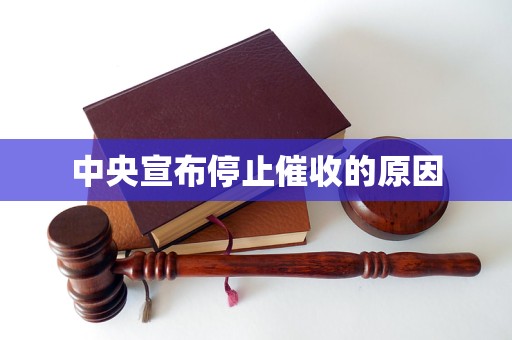 中央宣布停止催收的原因