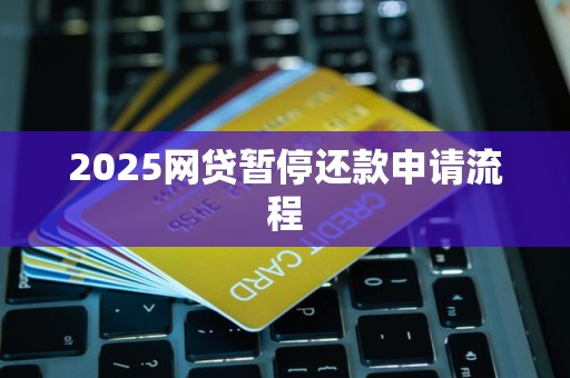 2025网贷暂停还款申请流程