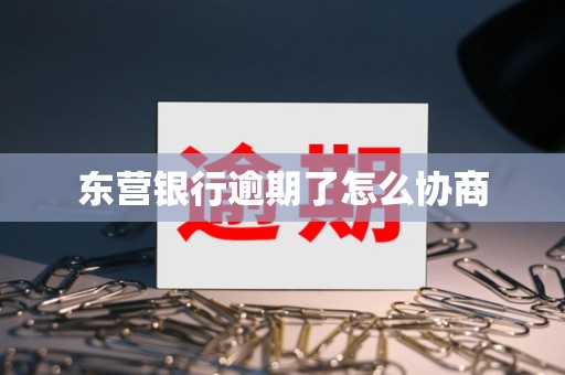 东营银行逾期了怎么协商