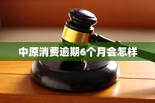 中原消费逾期6个月会怎样