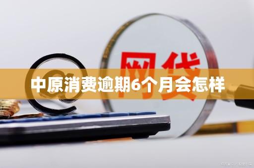 中原消费逾期6个月会怎样