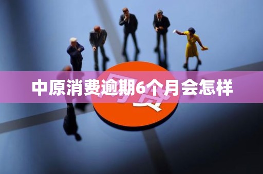 中原消费逾期6个月会怎样