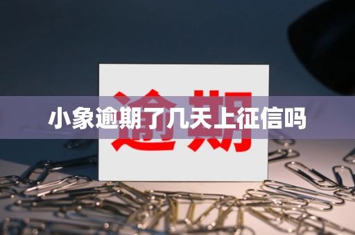 小象逾期了几天上征信吗