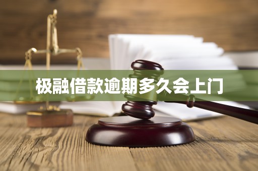极融借款逾期多久会上门