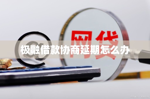 极融借款协商延期怎么办