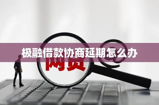 极融借款协商延期怎么办