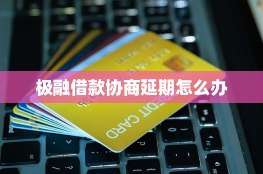 极融借款协商延期怎么办