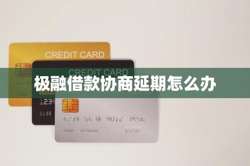 极融借款协商延期怎么办