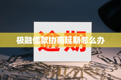 极融借款协商延期怎么办