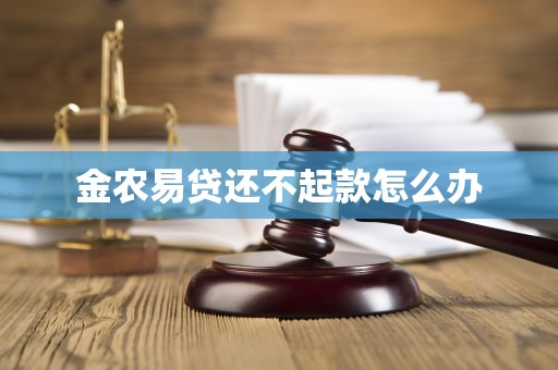 金农易贷还不起款怎么办