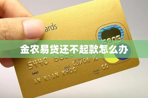 金农易贷还不起款怎么办