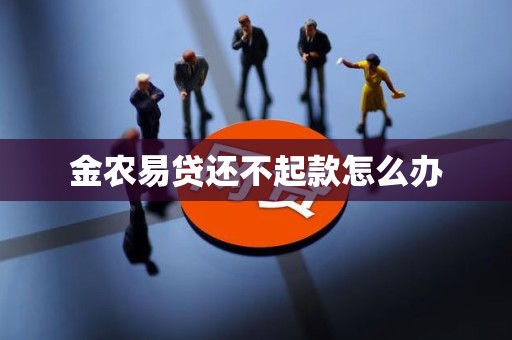 金农易贷还不起款怎么办