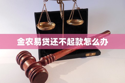 金农易贷还不起款怎么办