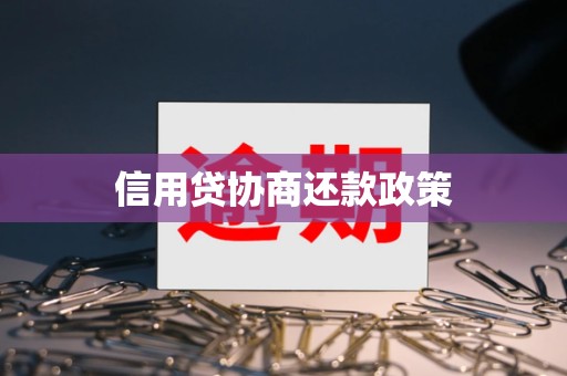 信用贷协商还款政策