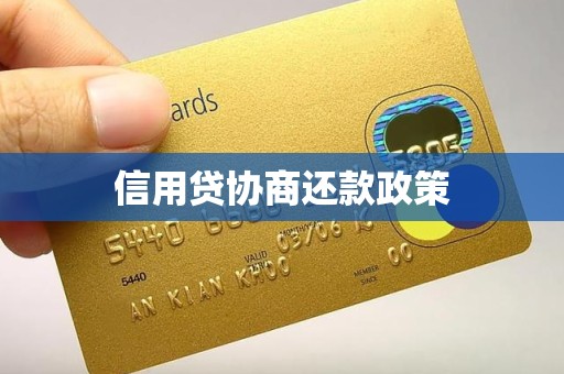 信用贷协商还款政策
