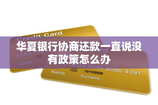 华夏银行协商还款一直说没有政策怎么办