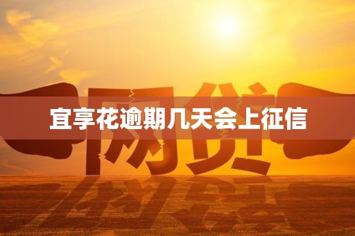 宜享花逾期几天会上征信