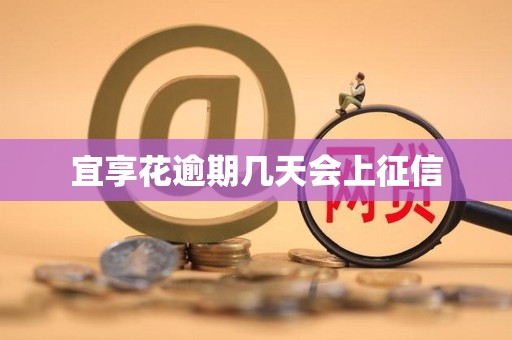 宜享花逾期几天会上征信