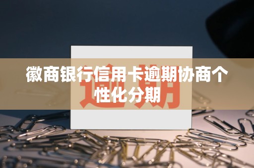 如何和银行协商个性化分期打什么电话呢(与银行协商个性化分期还款应找哪方面律师)