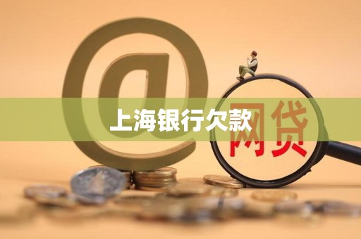 上海银行欠款