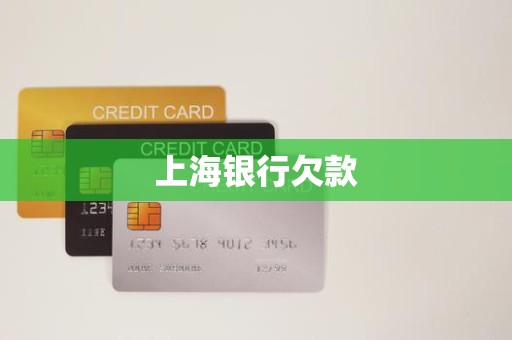 上海银行欠款