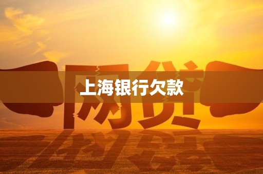 上海银行欠款