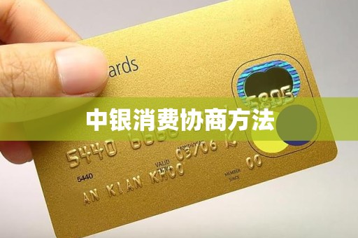 中银消费协商方法
