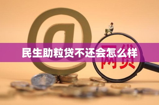 有谁借过民生助粒贷吗(民生助粒贷好通过吗口子大神)