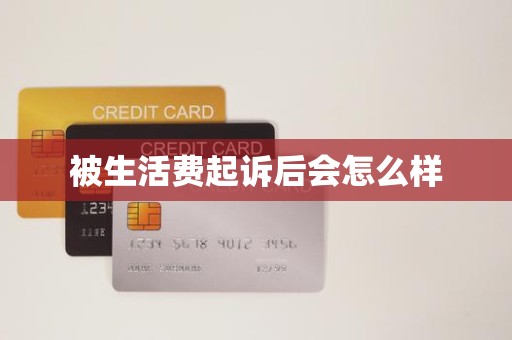 被生活费起诉后会怎么样