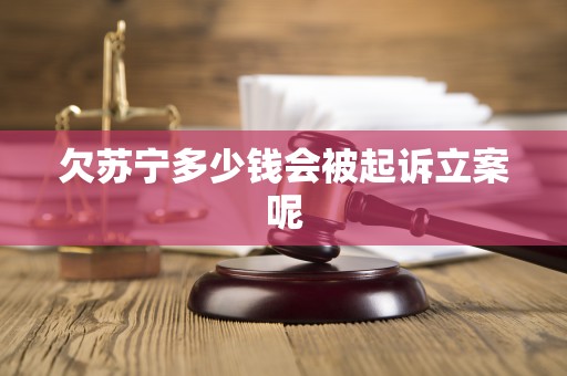 欠苏宁多少钱会被起诉立案呢