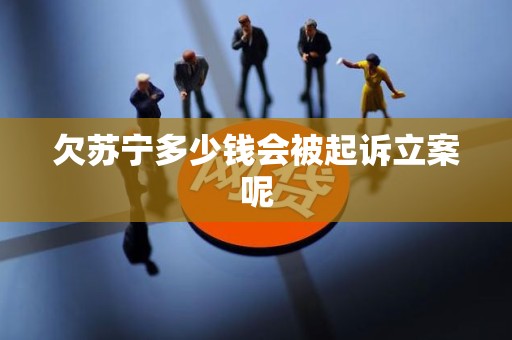 欠苏宁多少钱会被起诉立案呢