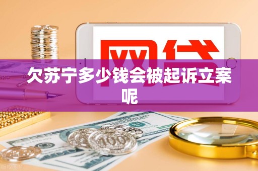 欠苏宁多少钱会被起诉立案呢