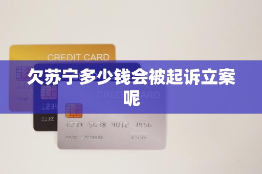 欠苏宁多少钱会被起诉立案呢