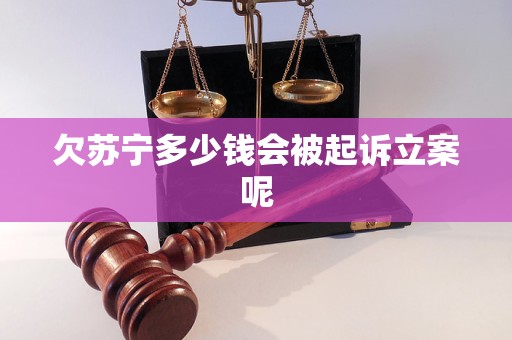 欠苏宁多少钱会被起诉立案呢