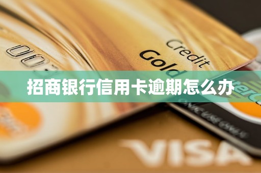 招商银行信用卡逾期怎么办