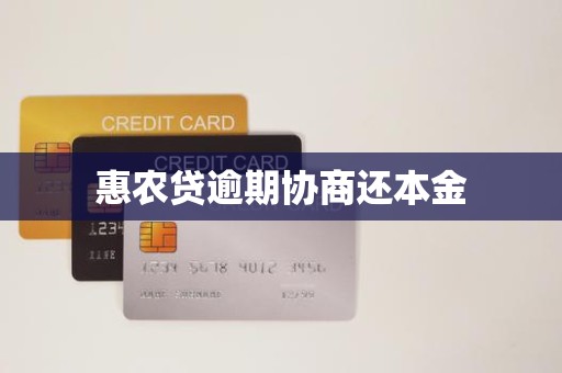惠农贷逾期协商还本金