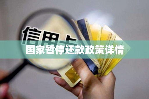 国家暂停还款政策详情