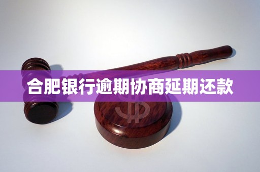 合肥银行逾期协商延期还款