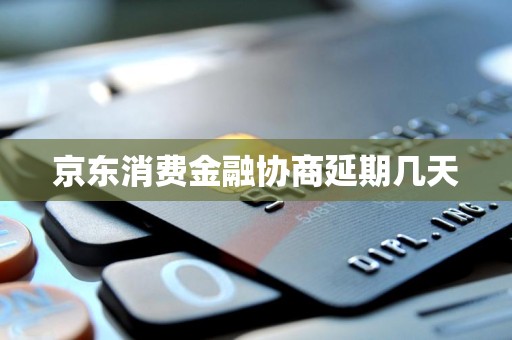 京东消费金融协商延期几天
