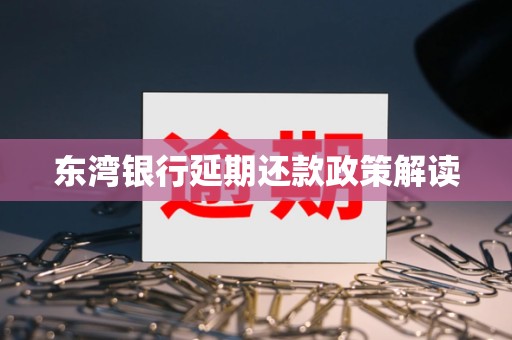 东湾银行延期还款政策解读
