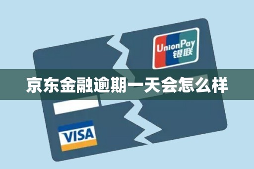 京东金融逾期一天会怎么样逾期滞留一天罚998美元