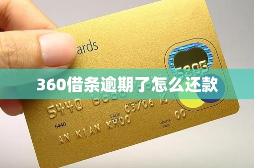 360借条逾期了怎么还款