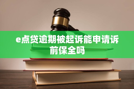 e点贷逾期被起诉能申请诉前保全吗