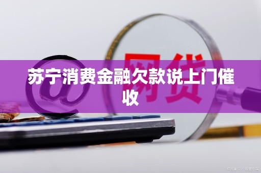 苏宁消费金融=苏宁消费金融app