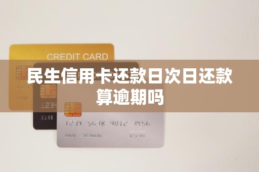 民生信用卡怎么申请分期还款(民生信用卡申请分期还款后还是无力偿还怎么办)