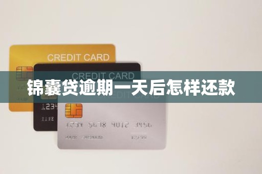 锦囊贷逾期一天后怎样还款