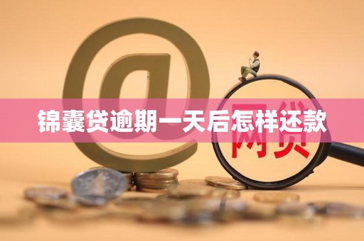 锦囊贷逾期一天后怎样还款