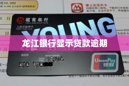龙江银行显示贷款逾期